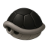 blackshell.sh favicon